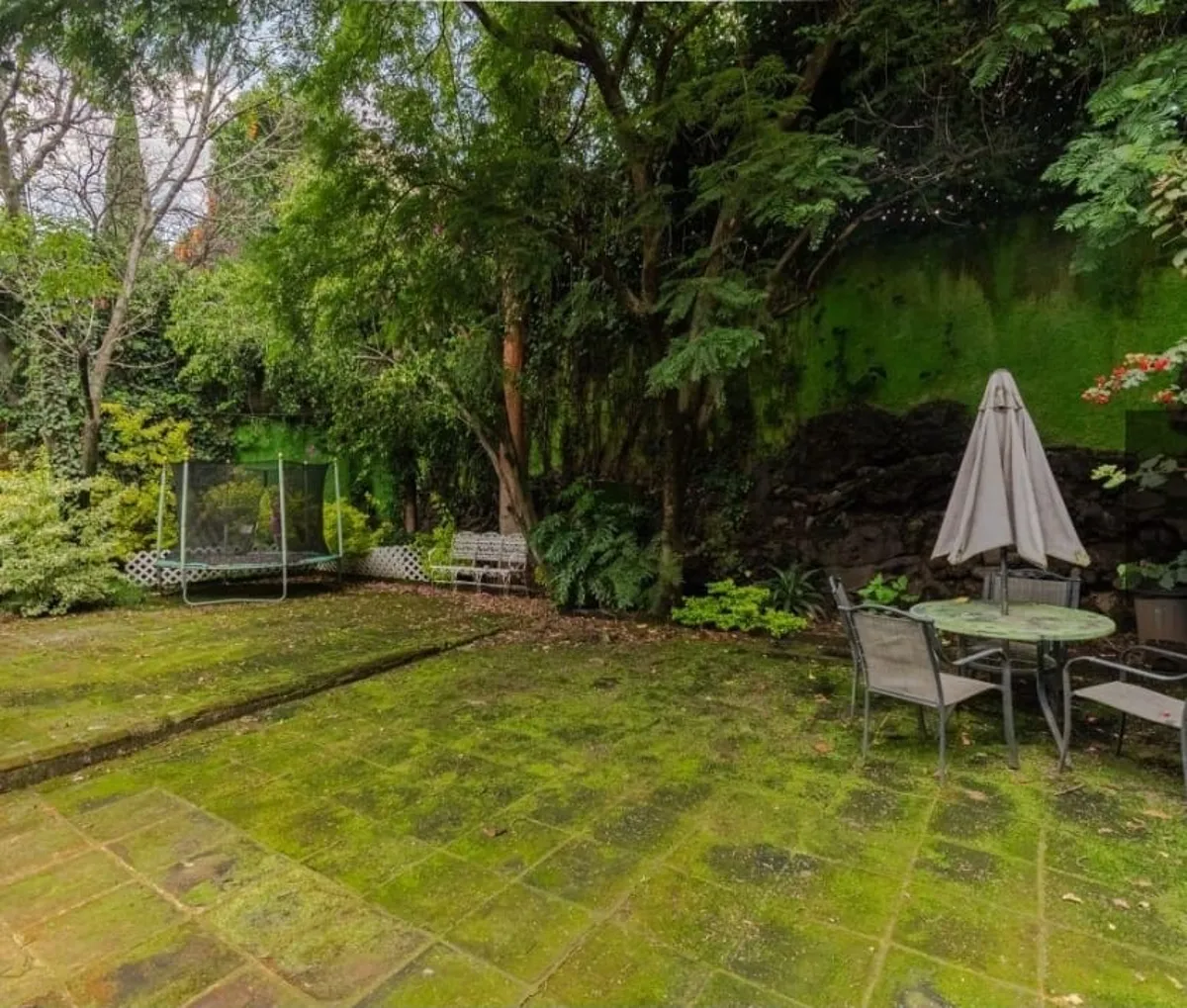 circuito-fuentes-del-pedregal-100-fuentes-del-pedregal-tlalpan-df-cdmx-30540065-foto-14